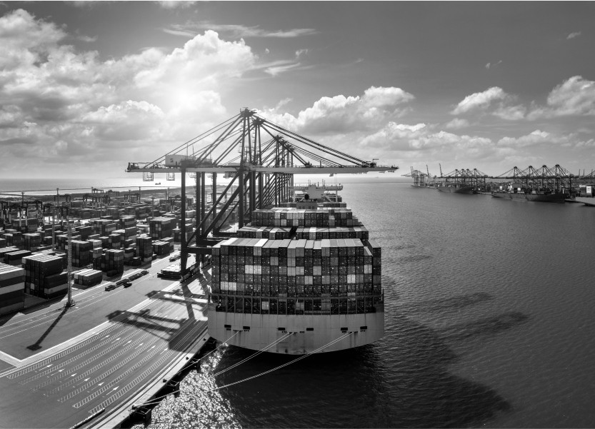 Международные контейнерные перевозки грузов любого объема с подбором наилучшего маршрута и способа доставки по принципу «от двери до двери»